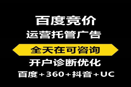 百度SEO推广策略案例：一家公司的成功转型之路